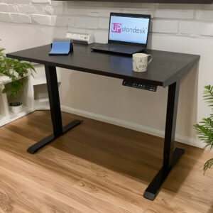 Electric Adjustable Desk