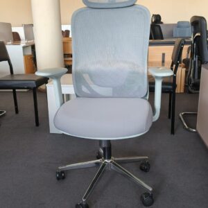 Modern Orthopedic Seat